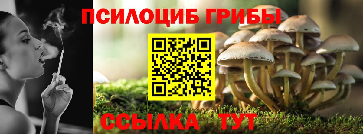 Галлюциногенные грибы Psilocybine cubensis Великие Луки